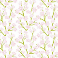 Botanicals Cherry Blossoms Wrapping Tissue (20"x30")